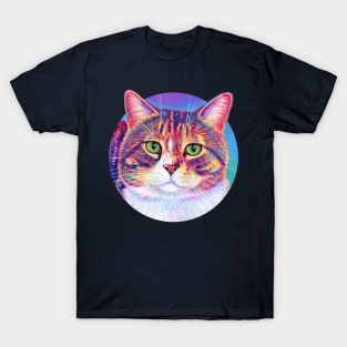 Rainbow Brown Tabby Cat T-Shirt